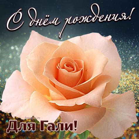 Поздравление для Гали на день рождения с розочкой