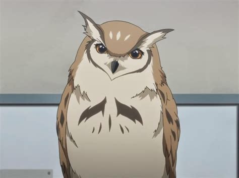 Cat | Shounen Hollywood Wiki | Fandom