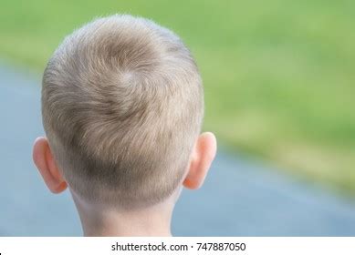 head  child stock photo  shutterstock