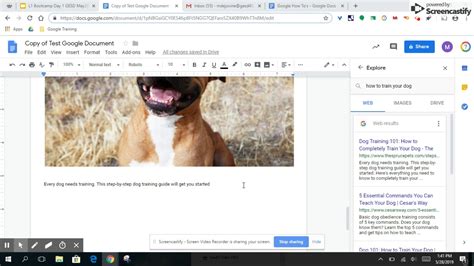 The Source Code To Citing: 5 Easy Steps To Mastering Google Docs References