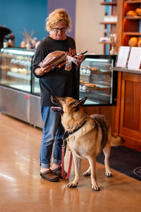 The Baltimore Pet Lover’s Guide