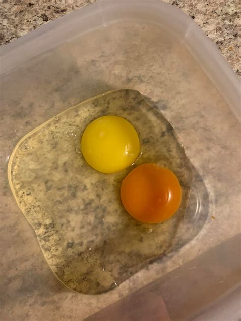 Lechinger Layers - The difference between store bought and free range