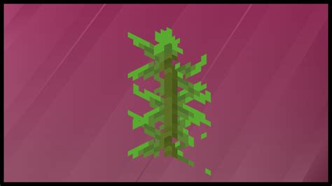 Minecraft Kelp: What Can You Do With Kelp In Minecraft? - YouTube