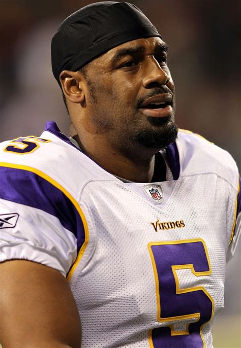 vikings  release quarterback mcnabb