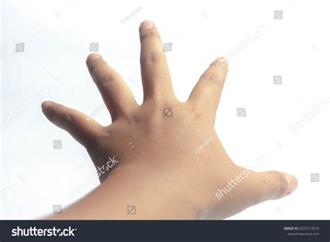 hand gestures images stock  vectors