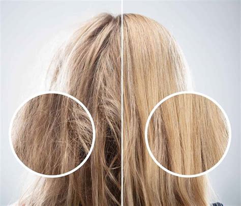 Key Signals: How To Know If Your Hair Needs Protein?