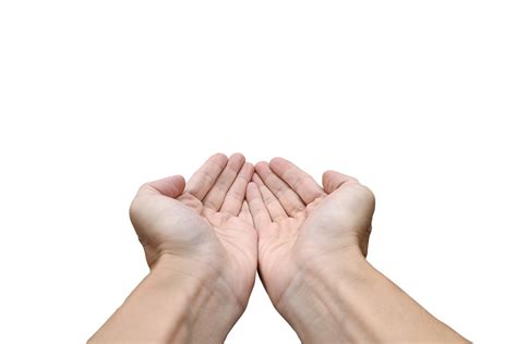 hold   hand presenting  hand  png