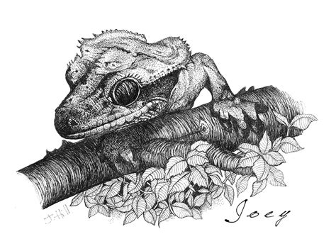 The Strangest and most Mysterious Phenomenon - Amity Veterinary Care