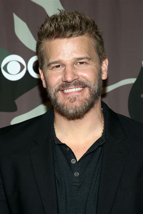 David Boreanz Teases His Next Series After SEAL Team Ends With Season 7