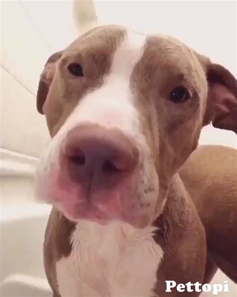 View 21 Funny Bathtub Memes - ravenscoinpics
