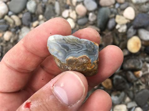 Billings, Montana Inmate Search and Custody Records 1