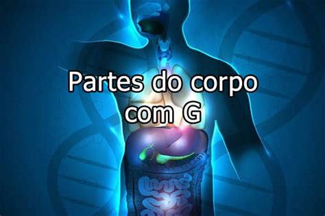 Parte Do Corpo Humano Com A Letra G - Partes do Corpo com G