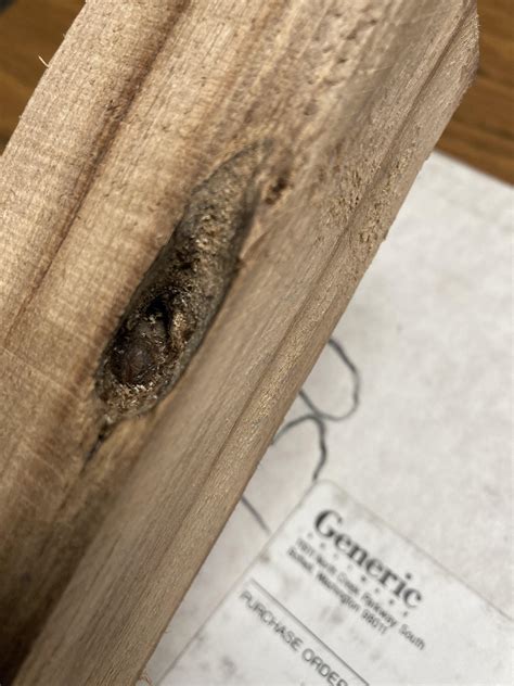 Unique Hub : r/landsurveying