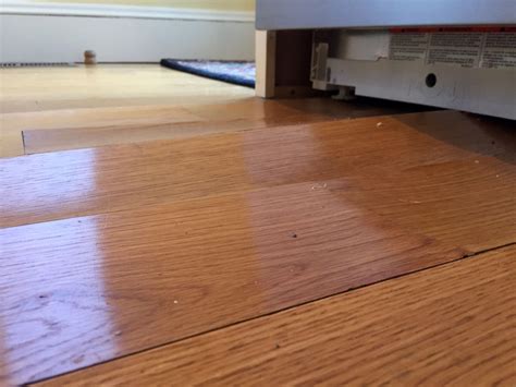 Cupped Hardwood Floor Drying – Clsa Flooring Guide