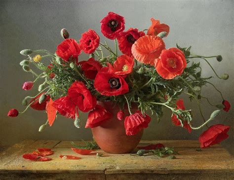 Маки. Автор: Марина Филатова | Flower painting, Flower art, Flower images