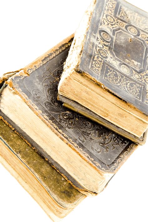What To Do With Old Books 7