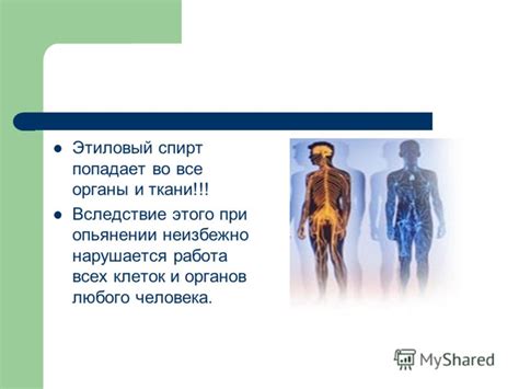 Презентация на тему: "Влияние Этанола на организм человека. Этиловый ...