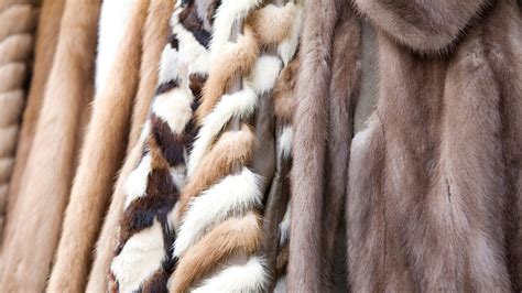 store furs  home storables