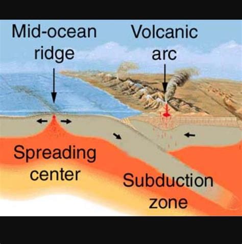 Draw a labeled diagram for the oceanic plates: mantle, mid-ocean ridge ...