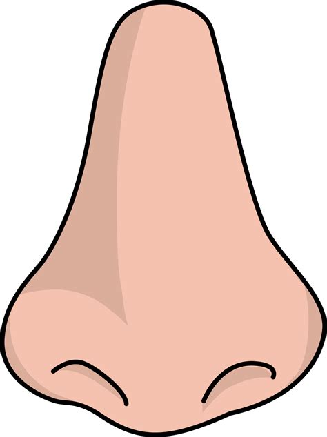 nose graphic art clip  png