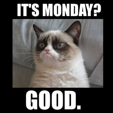 60 Monday Memes, Funny Monday Work Memes