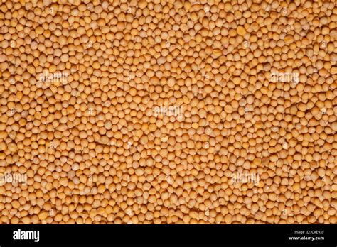 mustard background, yellow grainy yellow texture, backdrop Stock Photo ...