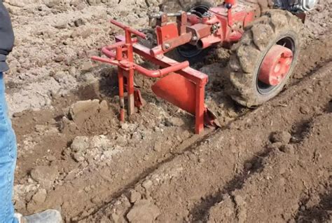 Посадка картофеля мотоблоком: схемы и правила как сажать