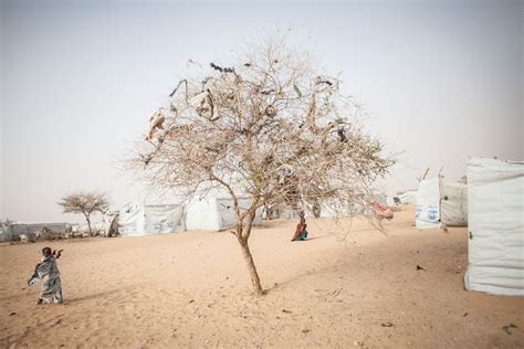 An Uncertain Future on the Shores of Africa's Vanishing Lake | National