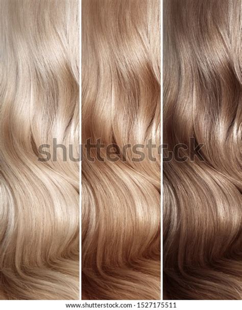 13,843 Hair Color Shade Images, Stock Photos & Vectors | Shutterstock