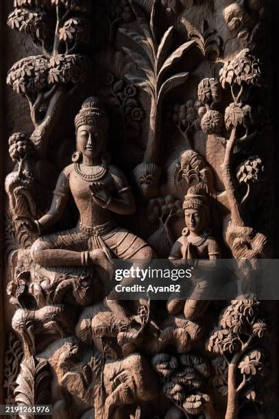 gopi krishna stock  high res pictures  images getty