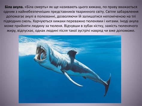 Африканська отруйна жаба. Найнебезпечніші тварини планети - online ...
