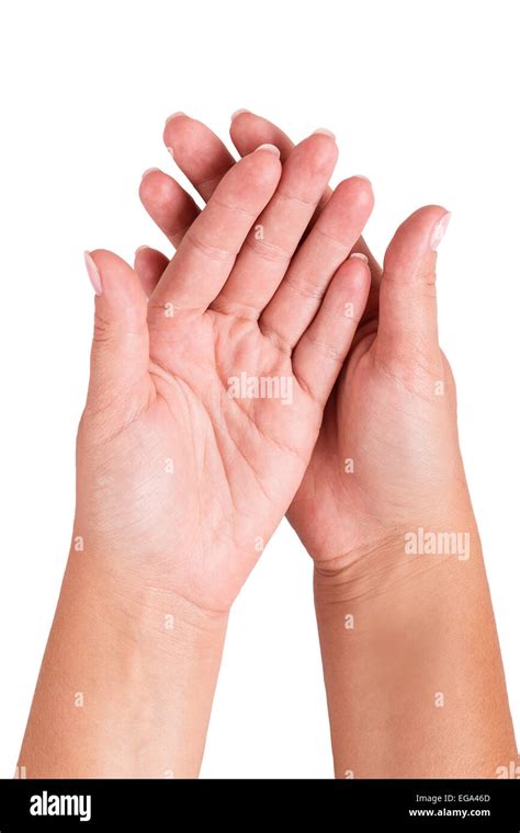 hand isolated  white background stock photo alamy
