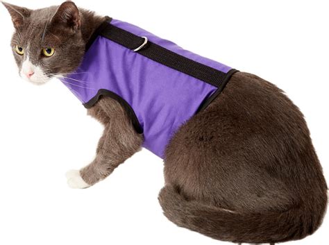 11 Best Escape Proof Cat Harnesses (2023 Reviews)