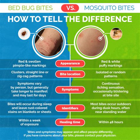 bed bugs bite bed bug bites symptoms gcznu