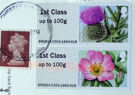 mail adventures teasel post