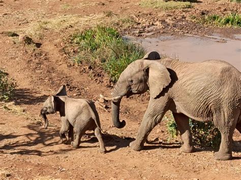 Maxvel Tours and Safaris (2025) - All You Need to Know BEFORE You Go ...