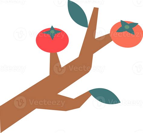 a cute persimmon tree 47389965 PNG