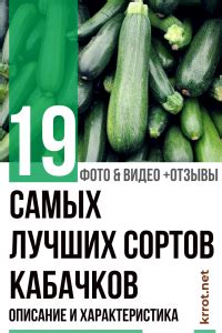 19 Самых Лучших Сортов Кабачков: Описание | (Фото) +Отзывы