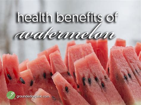 health benefits  watermelon grounded organic