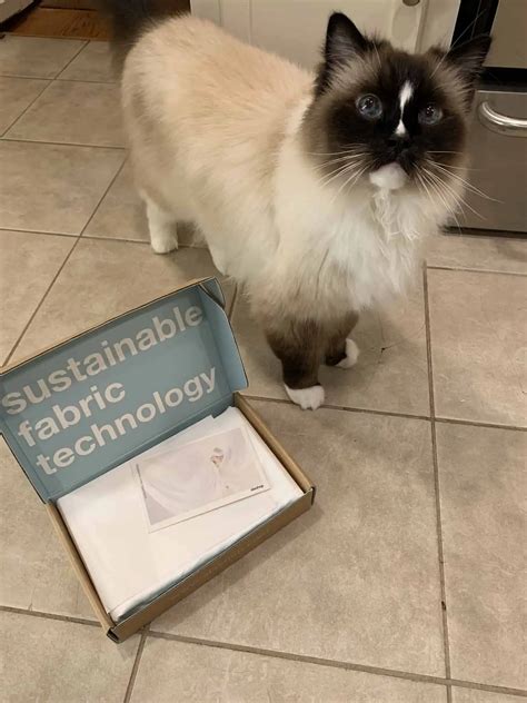 Pet Hair Resistant Bedding (That Actually Works) - Floppycats™