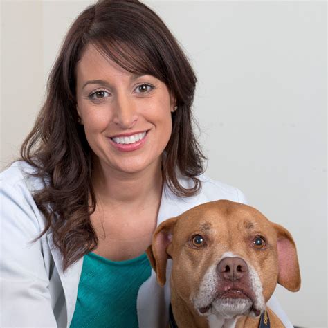 animal medical center gahanna