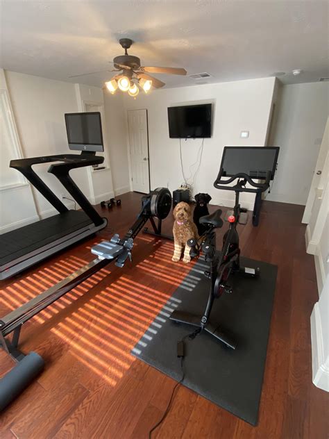 Cardio room 👌🏾 : homegym