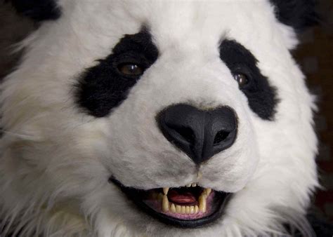 scary panda bear