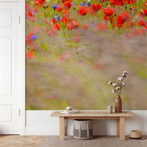 Poppy Flower Bloom Field Wallpaper - Buy Online | Happywall