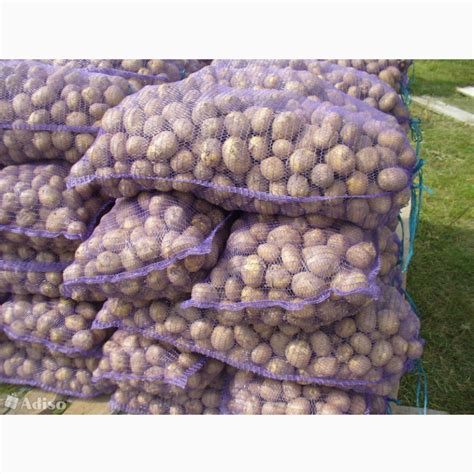 Продам КАРТОФЕЛЬ от производителя, Нижний Новгород — APKRU.com