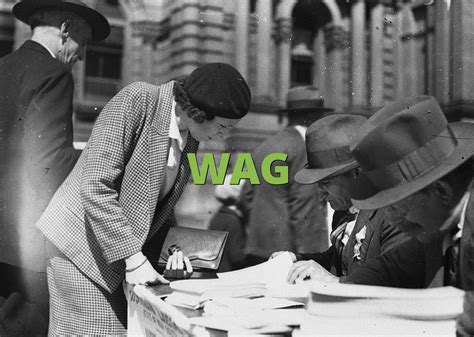 wag meaning slangorg