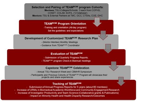 team rcmi program  curriculum