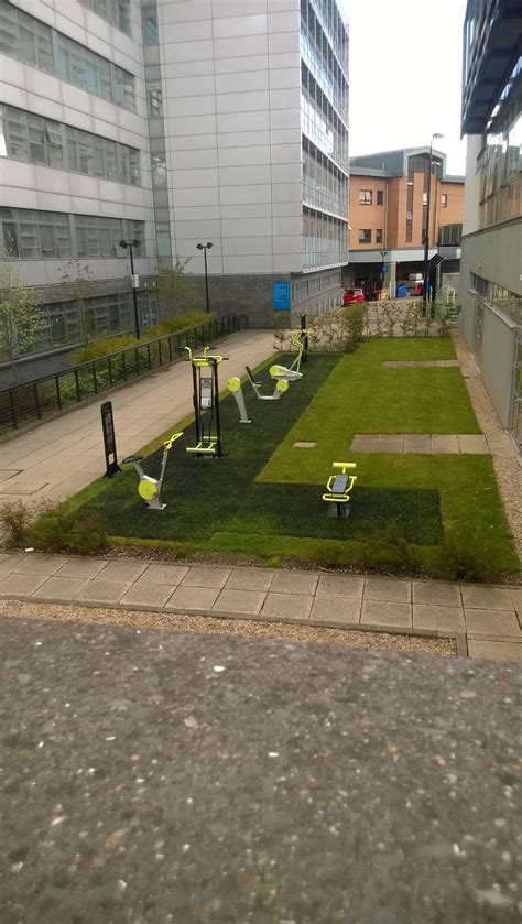 My university installed an outside gym : r/mildlyinteresting