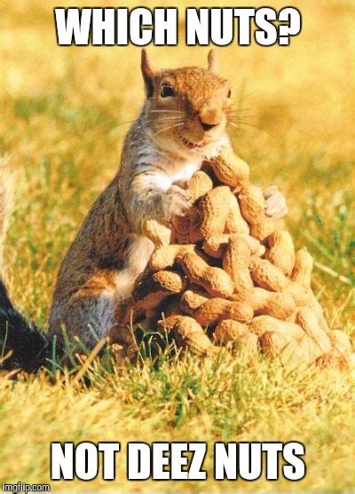 nuts imgflip