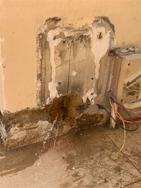 Is The Salomelon Leak A Catastrophe? Experts Sound The Alarm!
